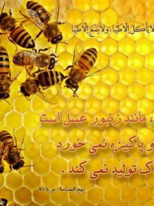 نحل و زنبور عسل در قرآن